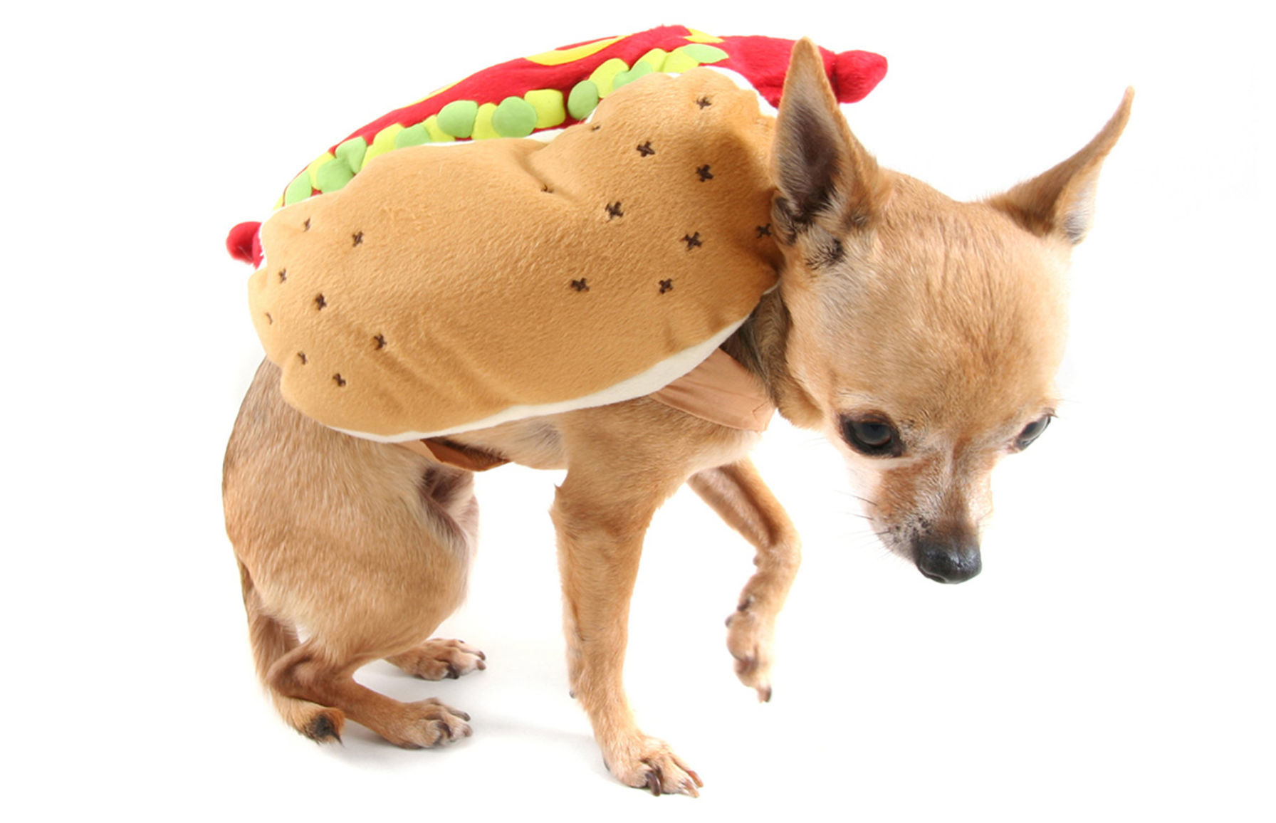 2. Hot dog